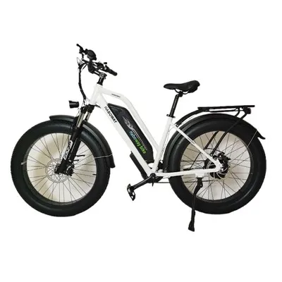 Bicicletă electrică Fat Tire Adult