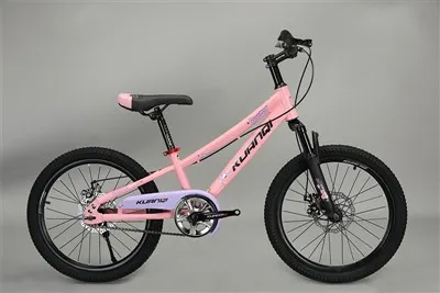 Bicicleta de 20 inch