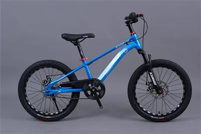 Junior Mountain Bike