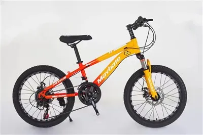 Biciclete pentru adolescenți